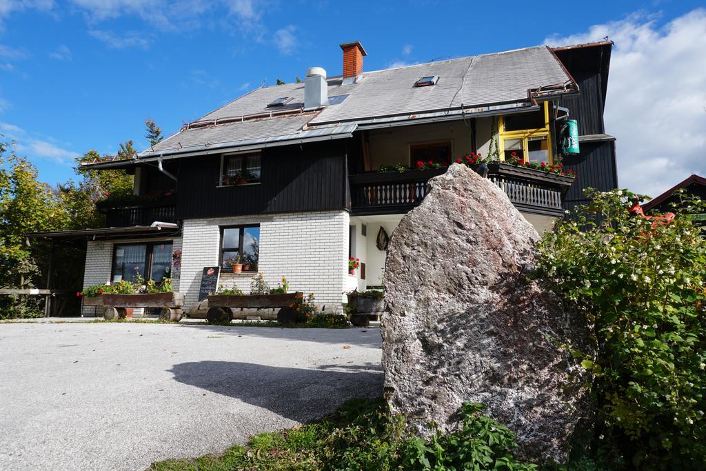 Guest House Beli Kamen Vojsko 외부 사진
