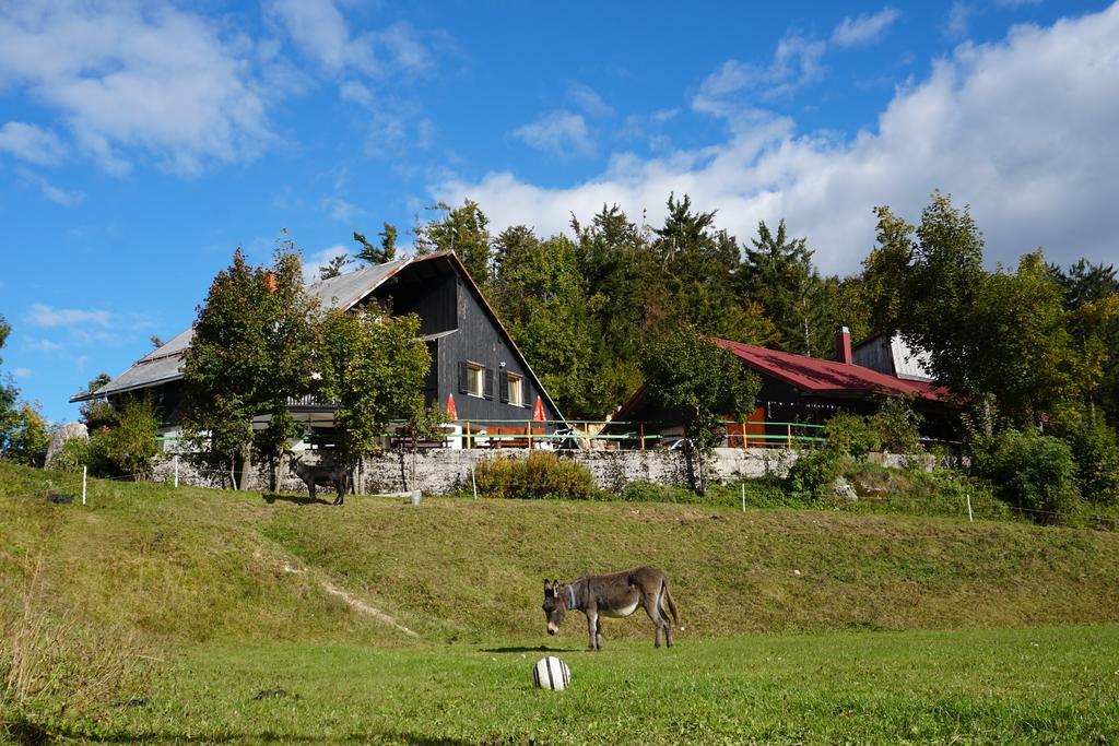 Guest House Beli Kamen Vojsko 외부 사진